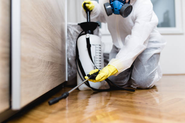Insect Control in New Brunswick, NJ