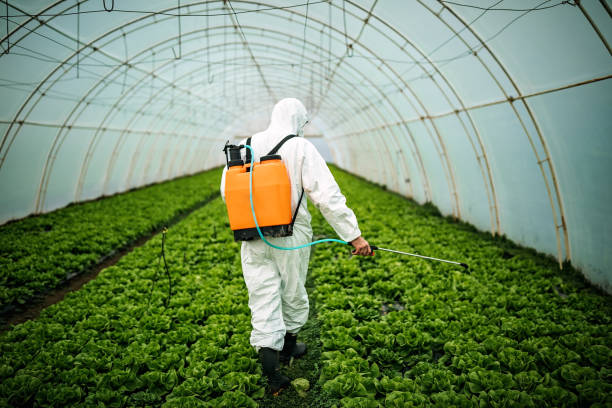 Best Mosquito Control Services  in New Brunswick, NJ
