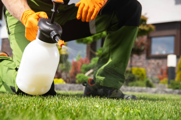 Best Wildlife Control Services  in New Brunswick, NJ