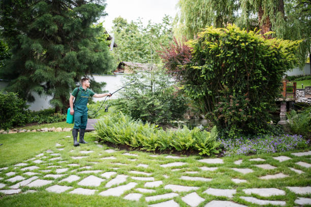 Best Local Pest Control Services  in New Brunswick, NJ