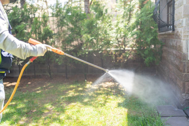 Best Bed Bug Extermination  in New Brunswick, NJ