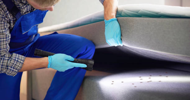 Best Termite Control Services  in New Brunswick, NJ