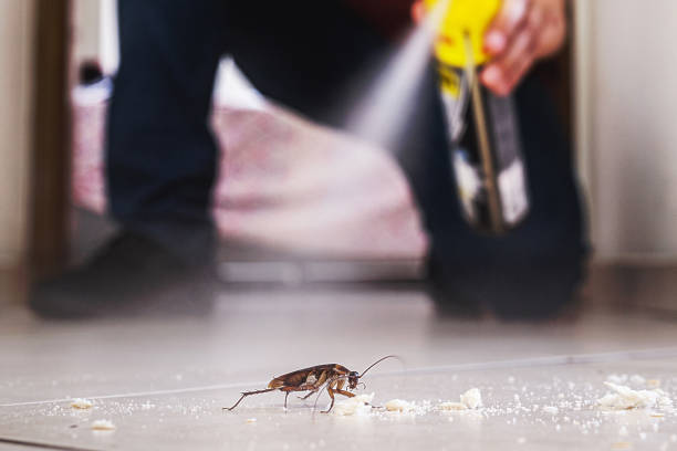  New Brunswick, NJ Pest Control Pros