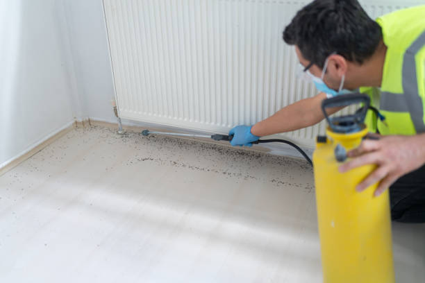 Trusted New Brunswick, NJ Pest Control Experts