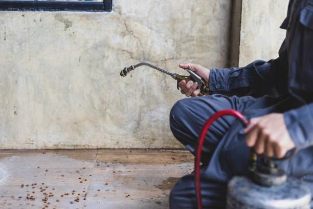 Best Residential Pest Control  in New Brunswick, NJ