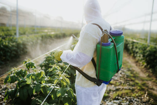Best Pest Control Near Me  in New Brunswick, NJ